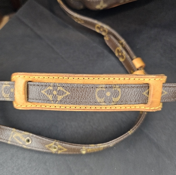 Louis Vuitton Amazone Crossbody Bag - Picture 7 of 14